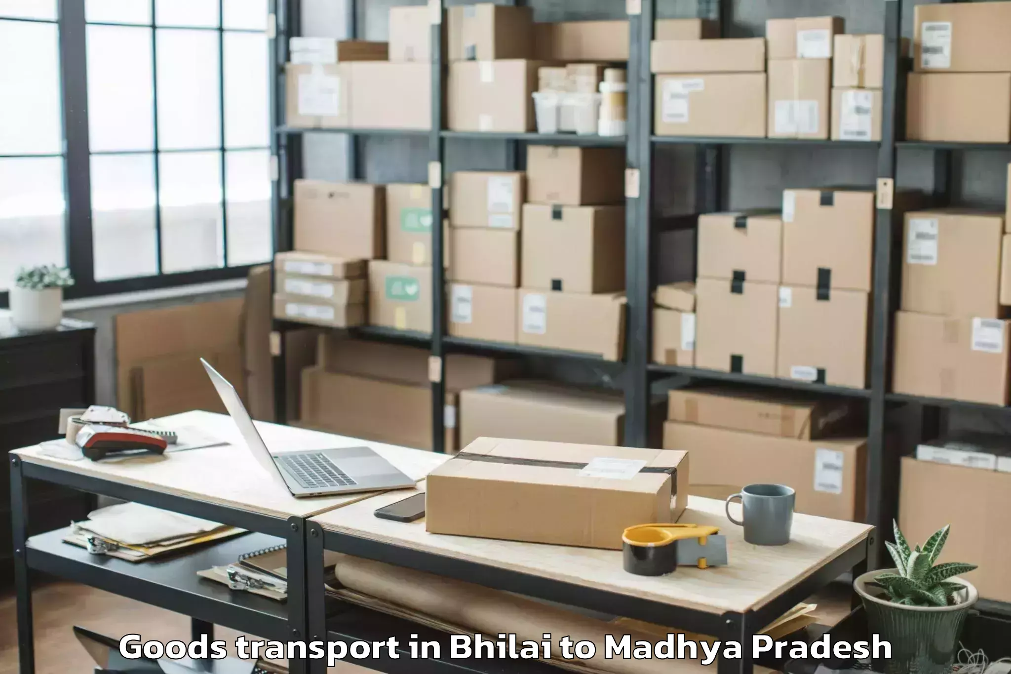 Professional Bhilai to Budhni Goods Transport